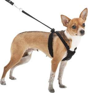Daopwlkom Small Dog Harness and Leash Set No Pull Pet Harness with Soft Mesh Nylon Vest for Small Dogs and Cats 