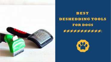 best deshedding tools for dogs