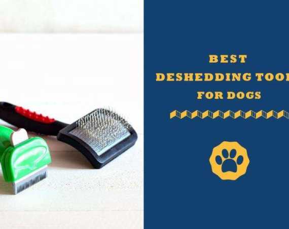 best deshedding tools for dogs