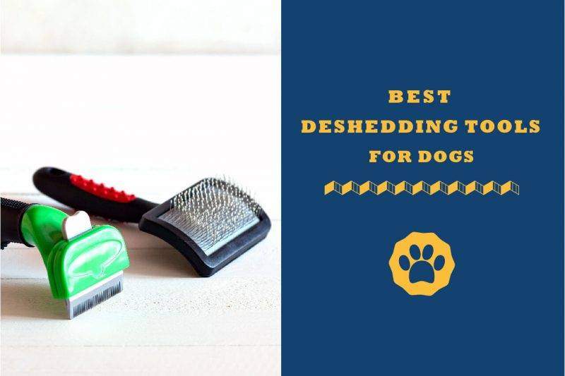 best deshedding tools for dogs