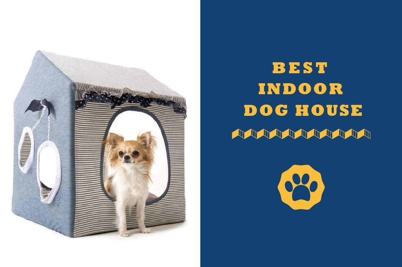 best indoor dog house image