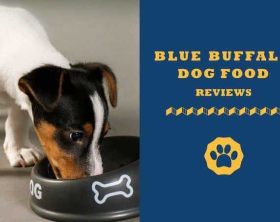 blue buffalo dog food reviews