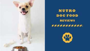 Nutro dog food review