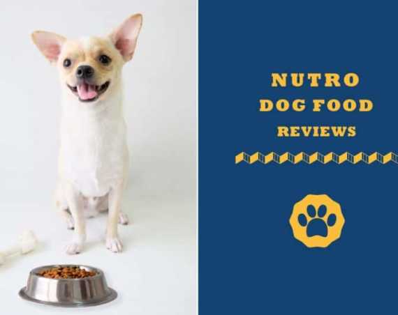 Nutro dog food review