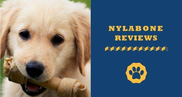 Nylabone Reviews Safest Dog Chew Toys Yet