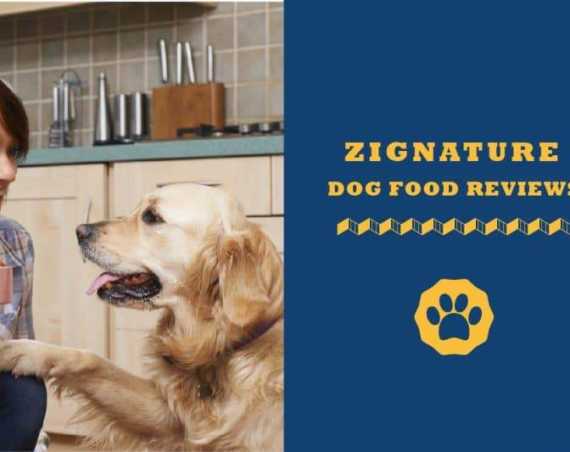 zignature dog food reviews