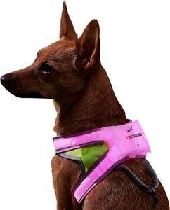 Noxgear LightHound Reflective Dog Harness