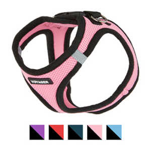 Voyager Black Trim Mesh Dog Harness