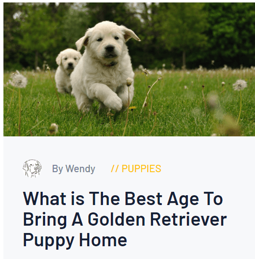 bring puppy home