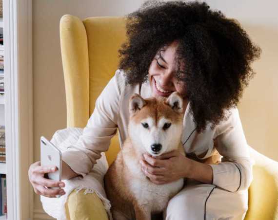 Best Toys for Anxious Dogs