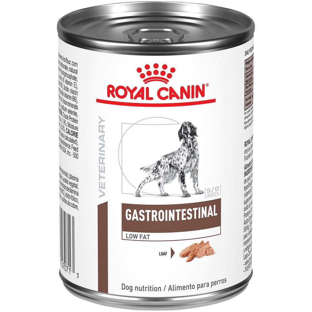 royal canin canned dog food