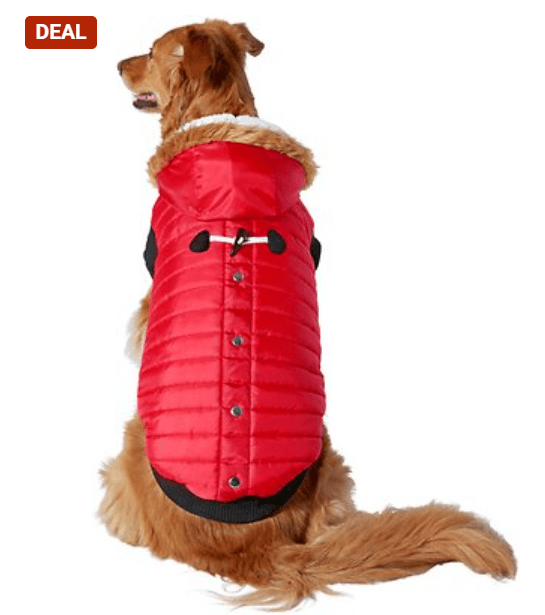 Frisco Insulated Dog & Cat Parka with Toggle Accent