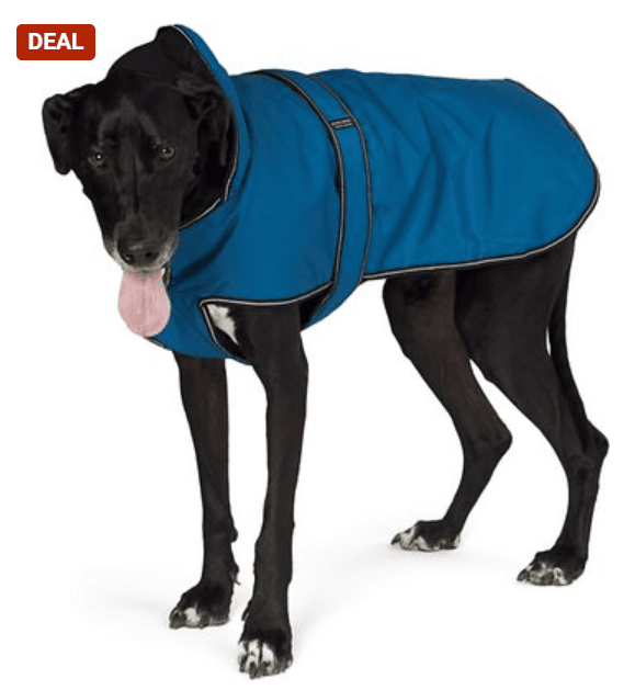 PetRageous Designs Juneau Insulated Dog Jacket