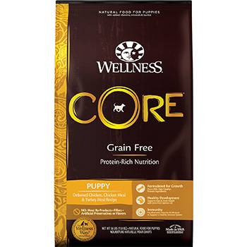 Wellness Core Grain-Free Puppy Food