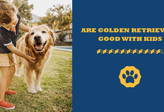 Are Golden Retrievers Good With Kids