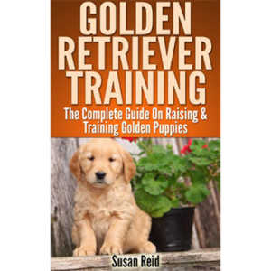 Golden Retriever Training By Susan Reid 