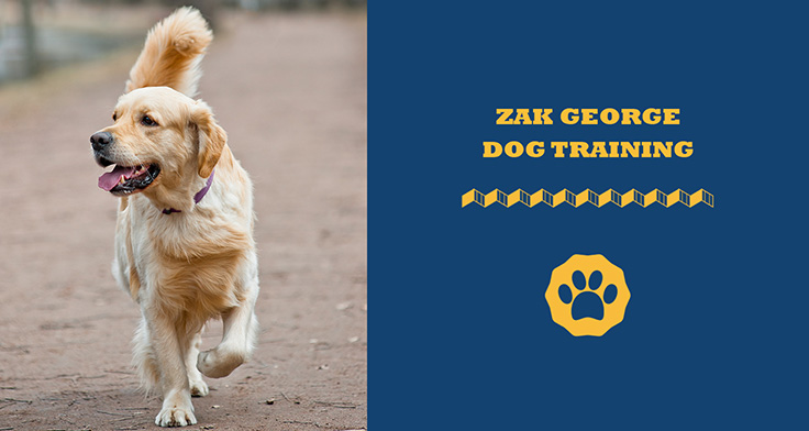 Zak George Dog Training