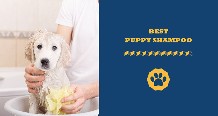 best puppy shampoo