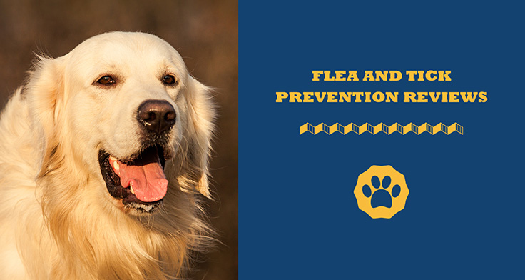 flea and tick prevention & Treatment reviews