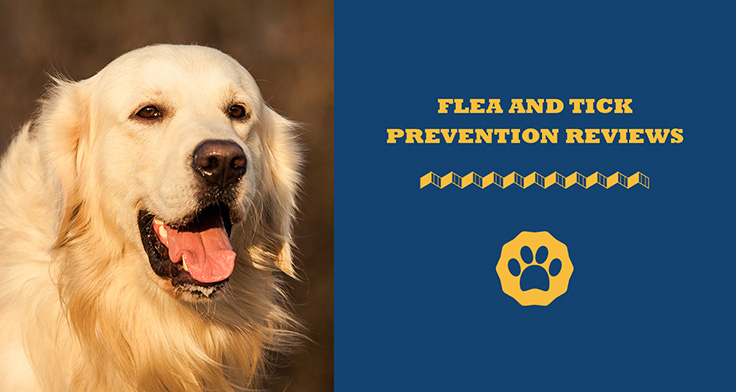 flea and tick prevention reviews