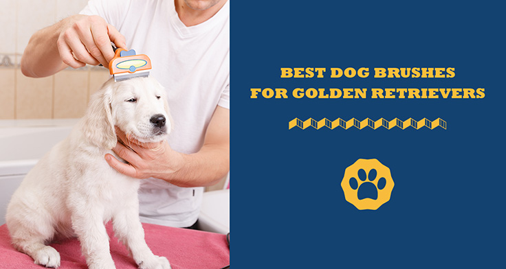 best dog brushes for golden retrievers