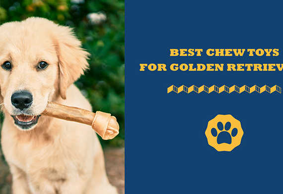 best chew toys for golden retrievers