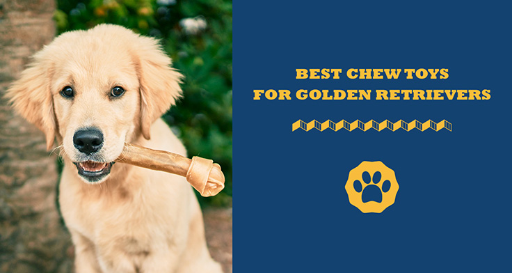 best chew toys for golden retrievers