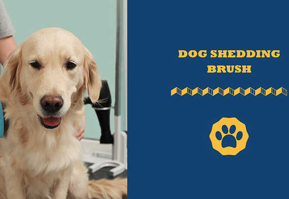 dog shedding brush
