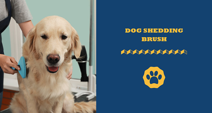 dog shedding brush