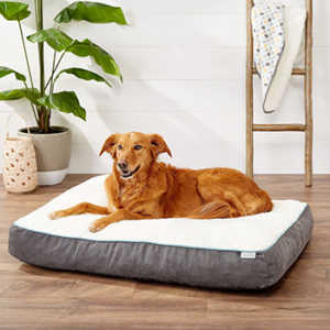 Frisco Plush Orthopedic Pillow Dog Bed