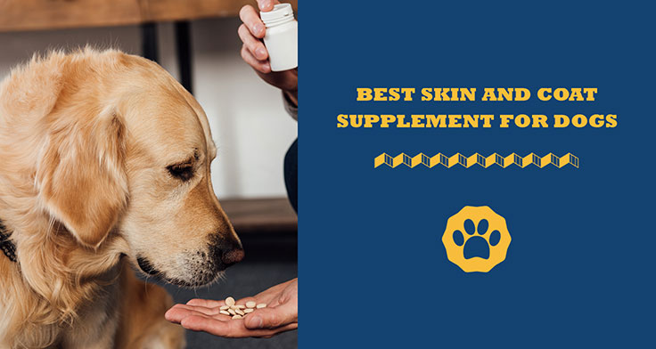 best skin and coat supplement for dogs