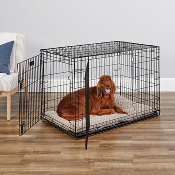 MidWest iCrate Fold & Carry Double Door Collapsible Wire Dog Crate