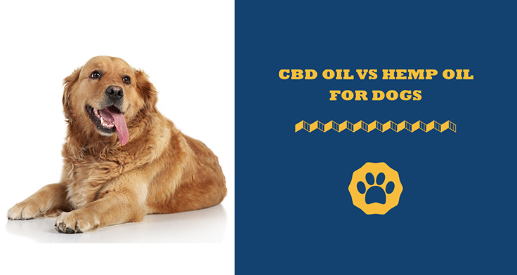cbd oil vs hemp oil for dogs