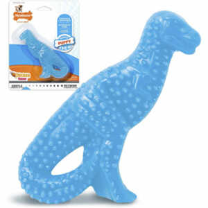 Nylabone Puppy Chew Toys for Teething Puppies (Dinosaur)