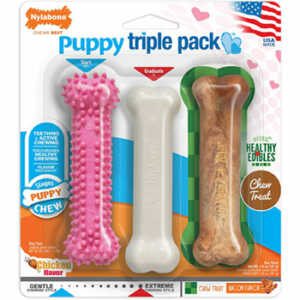 Nylabone Puppy Chew Toys for Teething Puppies (Dinosaur)