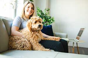 The Benefits Of Grooming A Goldendoodle At Home